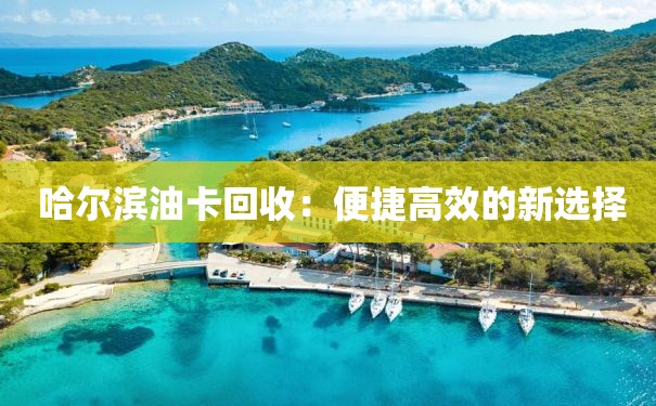  哈尔滨油卡回收：便捷高效的新选择
