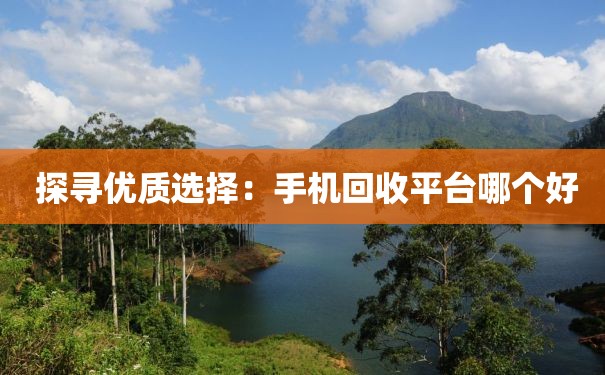  探寻优质选择：手机回收平台哪个好
