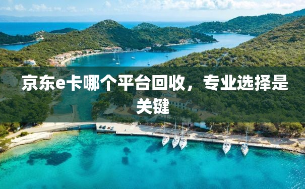  京东e卡哪个平台回收，专业选择是关键