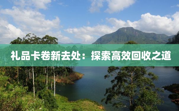  礼品卡卷新去处：探索高效回收之道