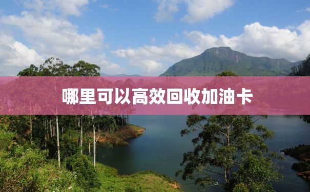  哪里可以高效回收加油卡